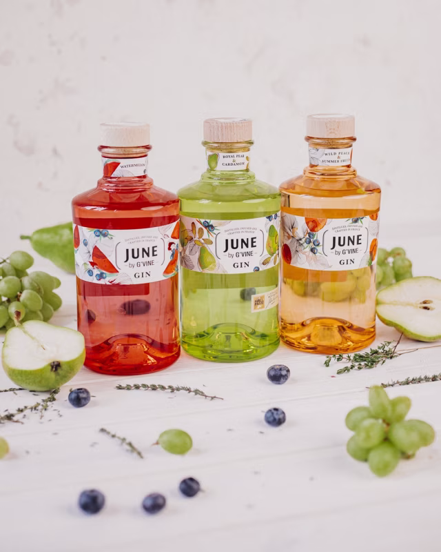 Svěží ginová novinka pro jaro a léto – JUNE Watermelon
