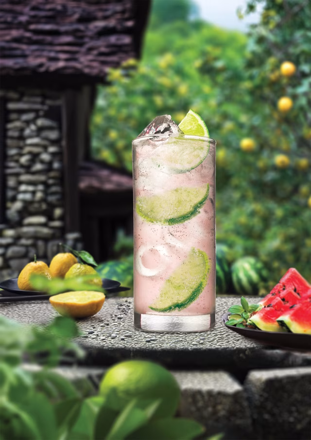 Svěží ginová novinka pro jaro a léto – JUNE Watermelon