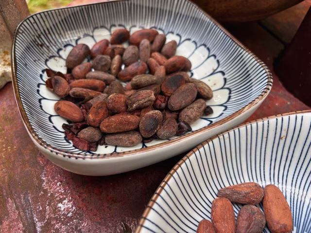 Od bobu k tabulce: jak vzniká fair trade kakao a bean-to-bar čokoláda