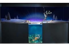 Tiffany & Co.: Ice Fisher
