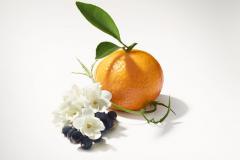 Le Jour Se Lève: mandarinka
