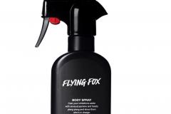 Flying Fox