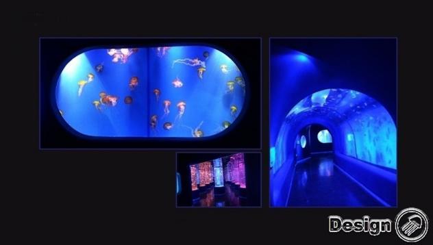 Designjellyfish