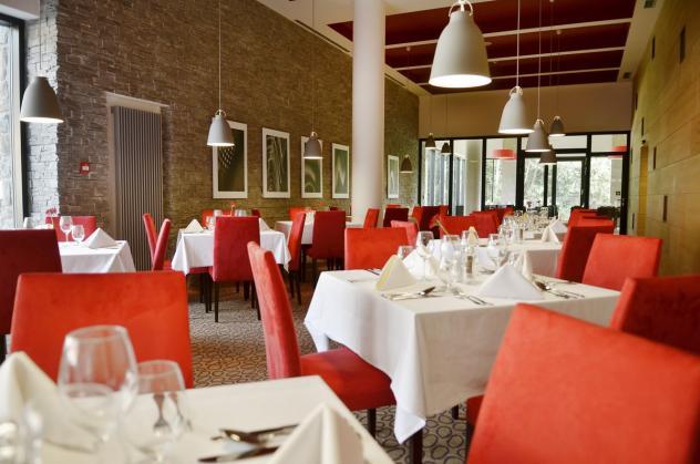 Horský Wellness hotel Vista 