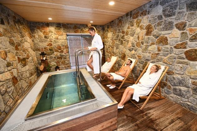 Horský Wellness hotel Vista