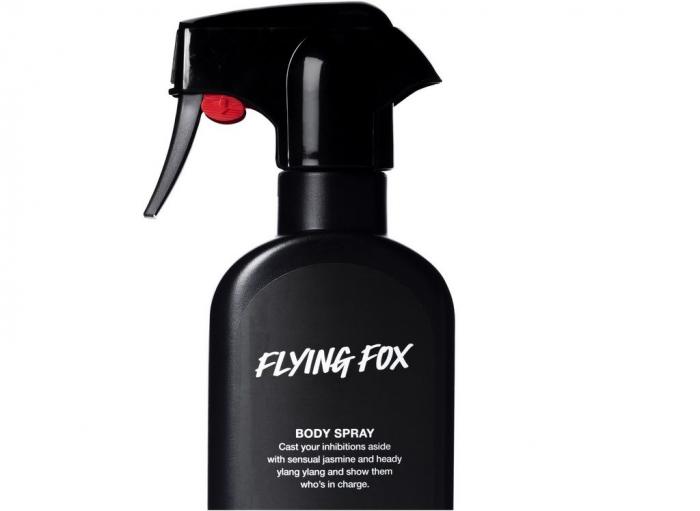 Flying Fox